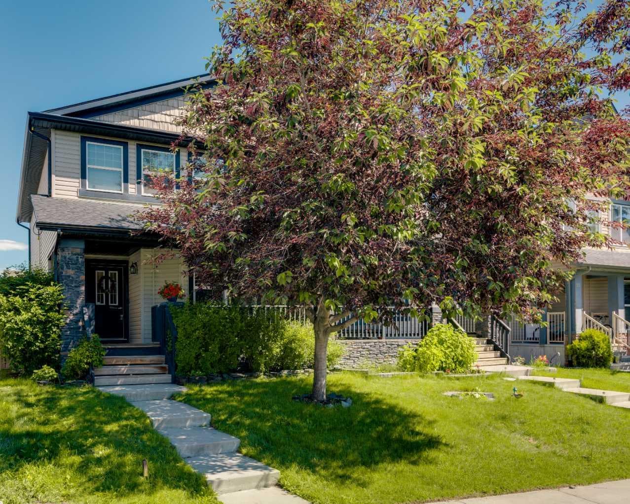 Semi Detached (Half Duplex) in Panorama Hills