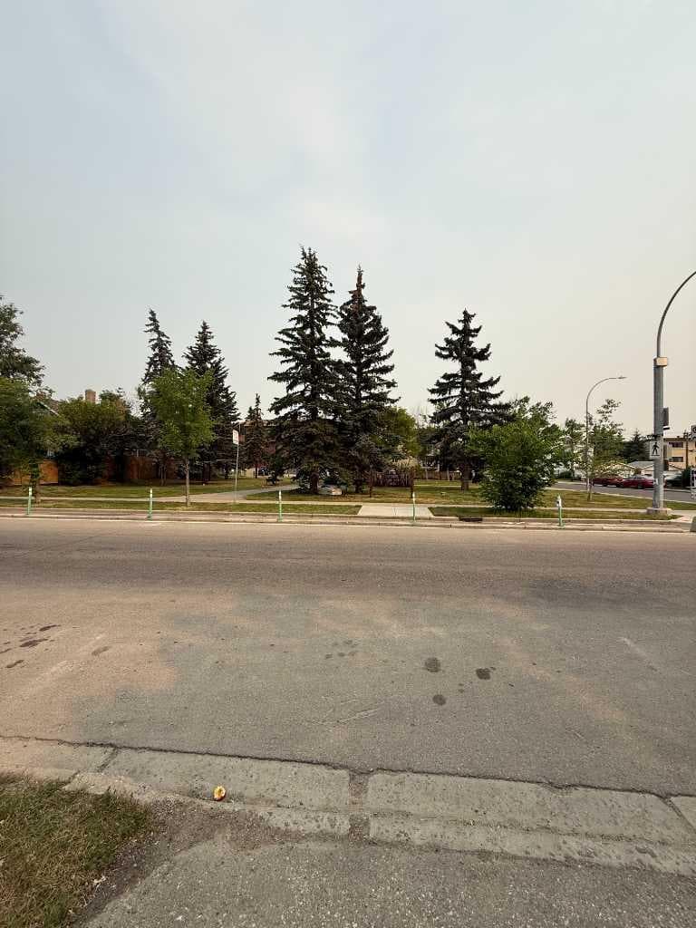 1703 12 Avenue SW — photo 4