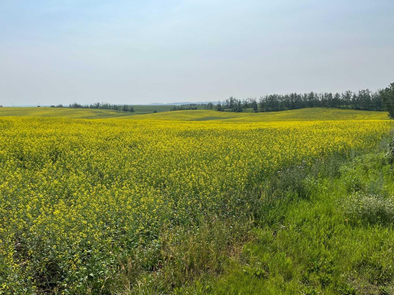 Range Road 263 — photo 3