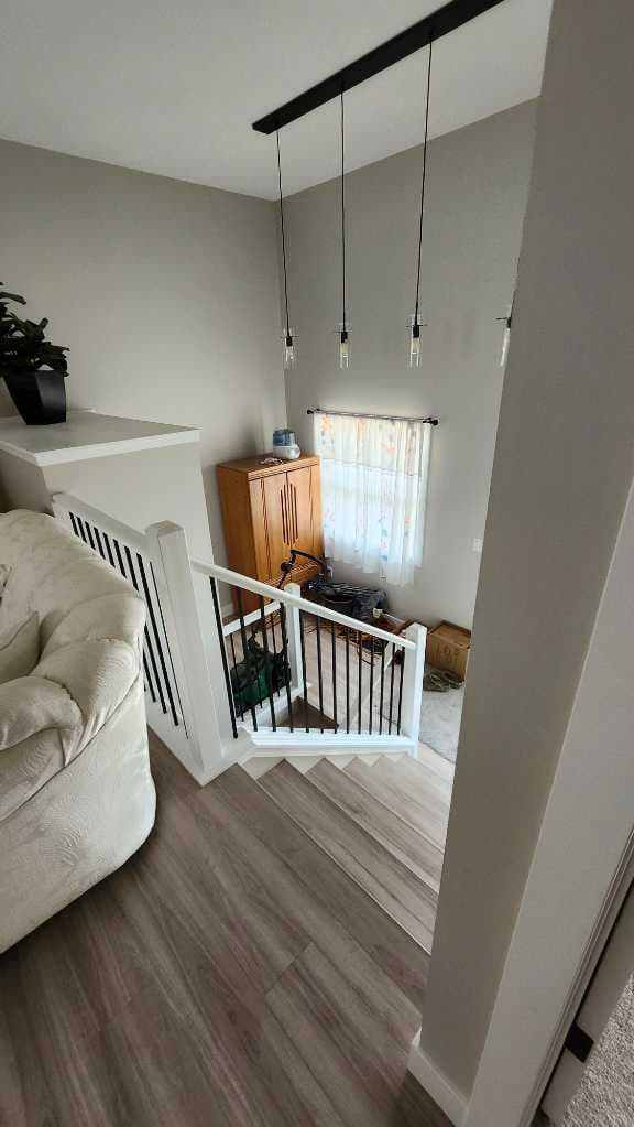 11 Ian Way — photo 4
