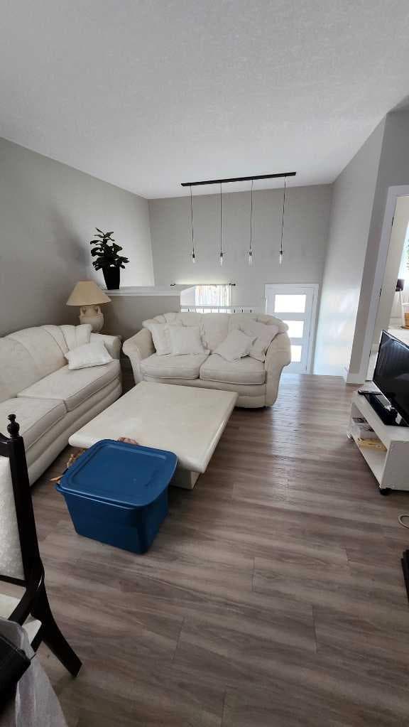 11 Ian Way — photo 5