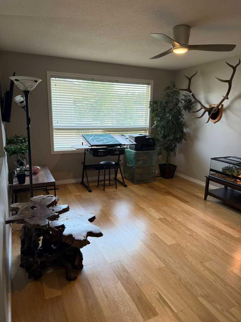 41 Link Court SW — photo 4