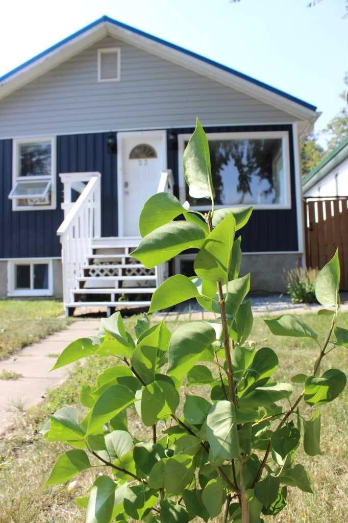 23 Pine Avenue W — photo 4