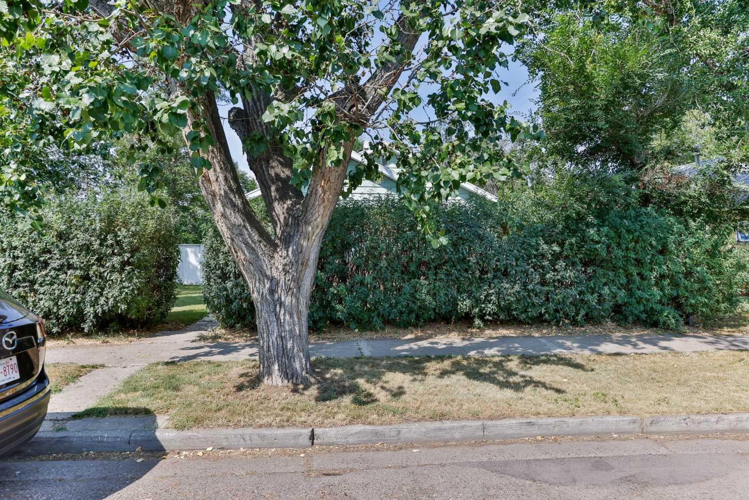 710 15 Street N — photo 5