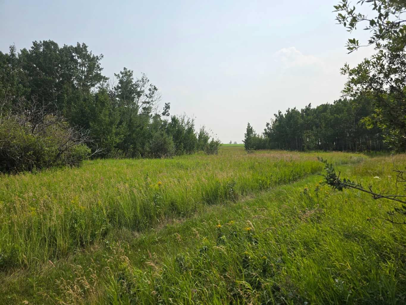 Hwy 783 Rural Foothills County — photo 5