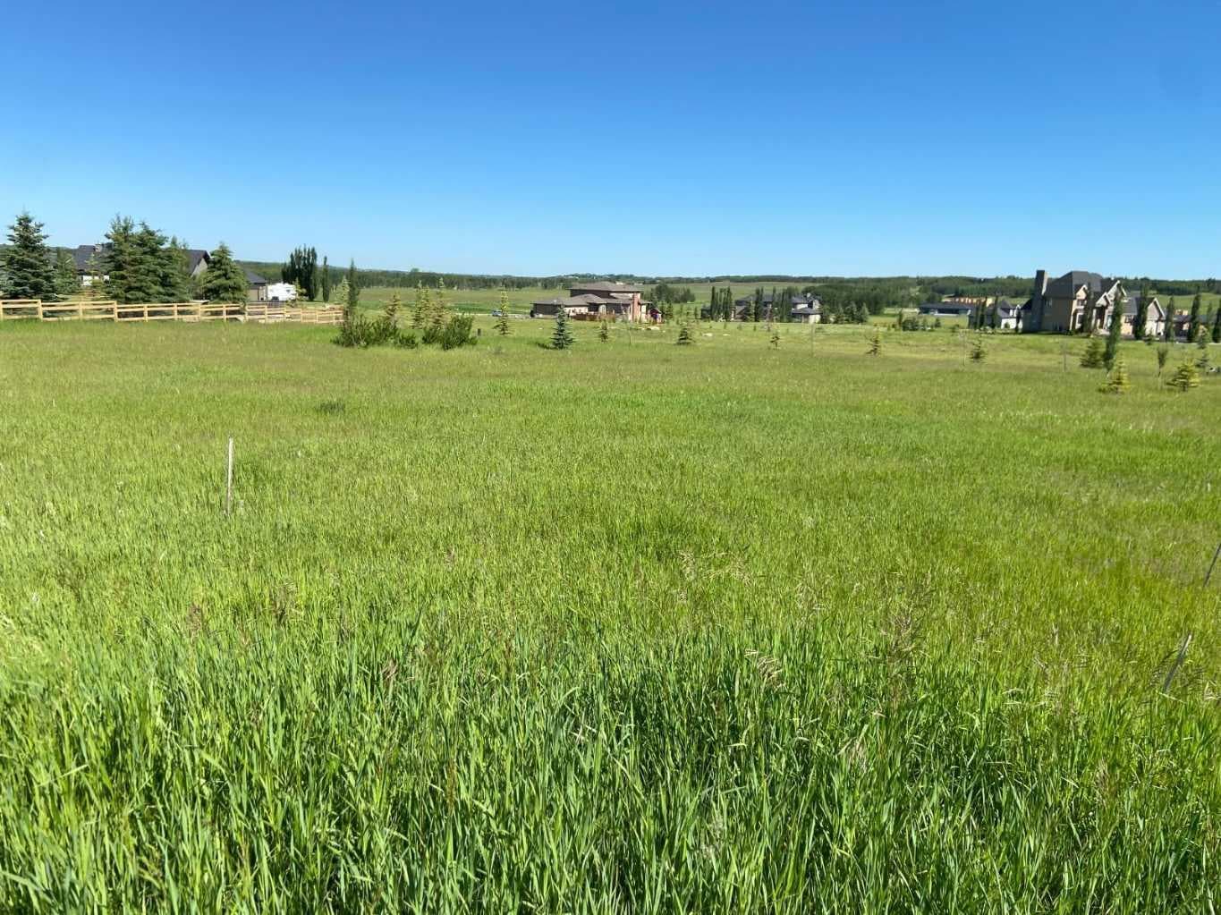 15 Grizzly Way — photo 4