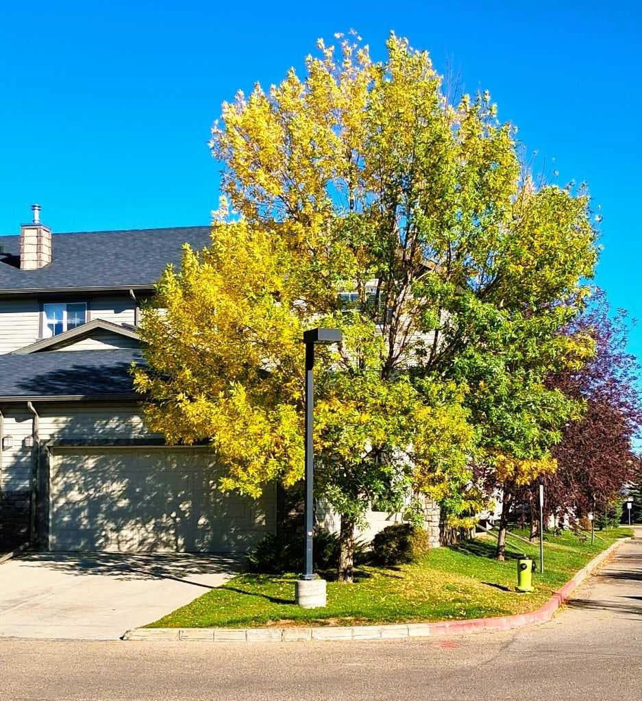 301 Ranch Ridge Meadow — photo 3