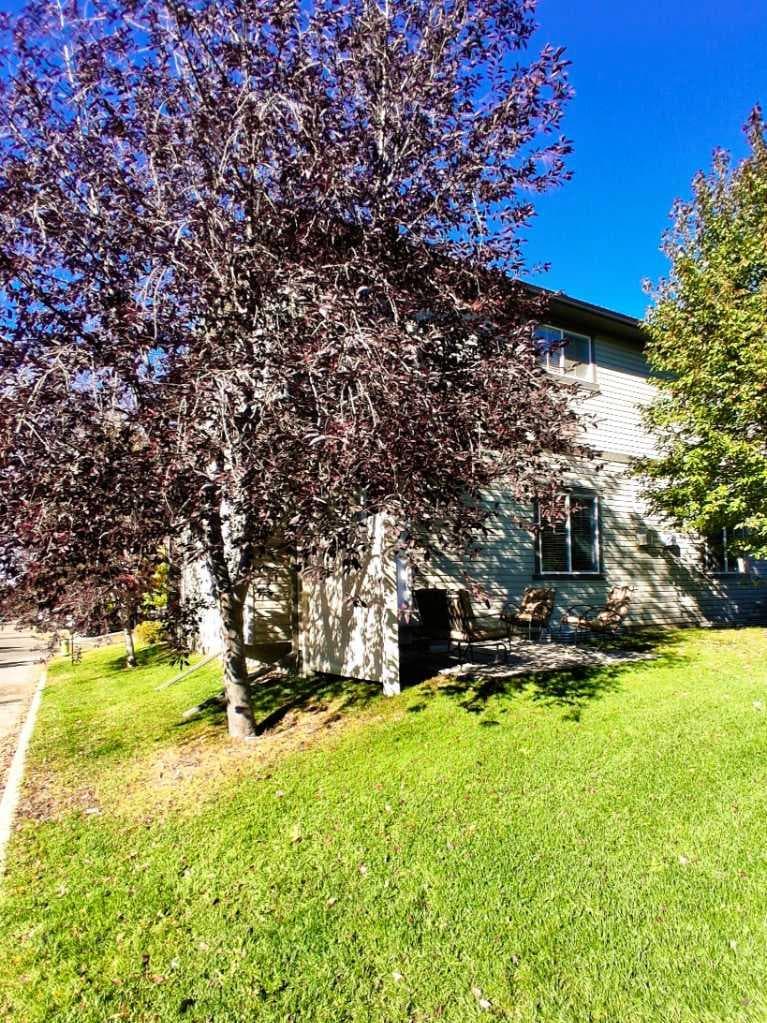 301 Ranch Ridge Meadow — photo 4