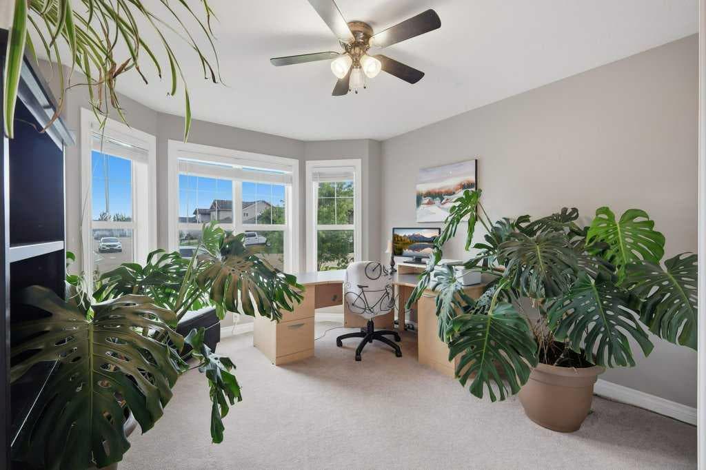 41 Chinook Street — photo 4