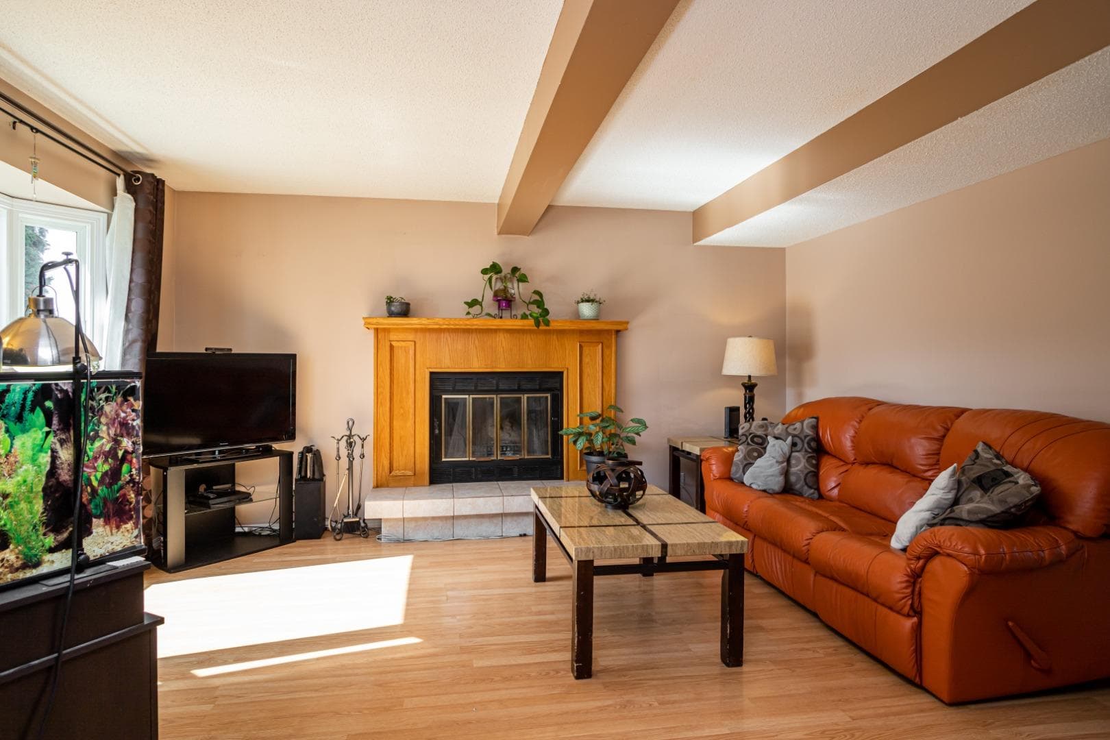 24 Ellenwood Drive — photo 3